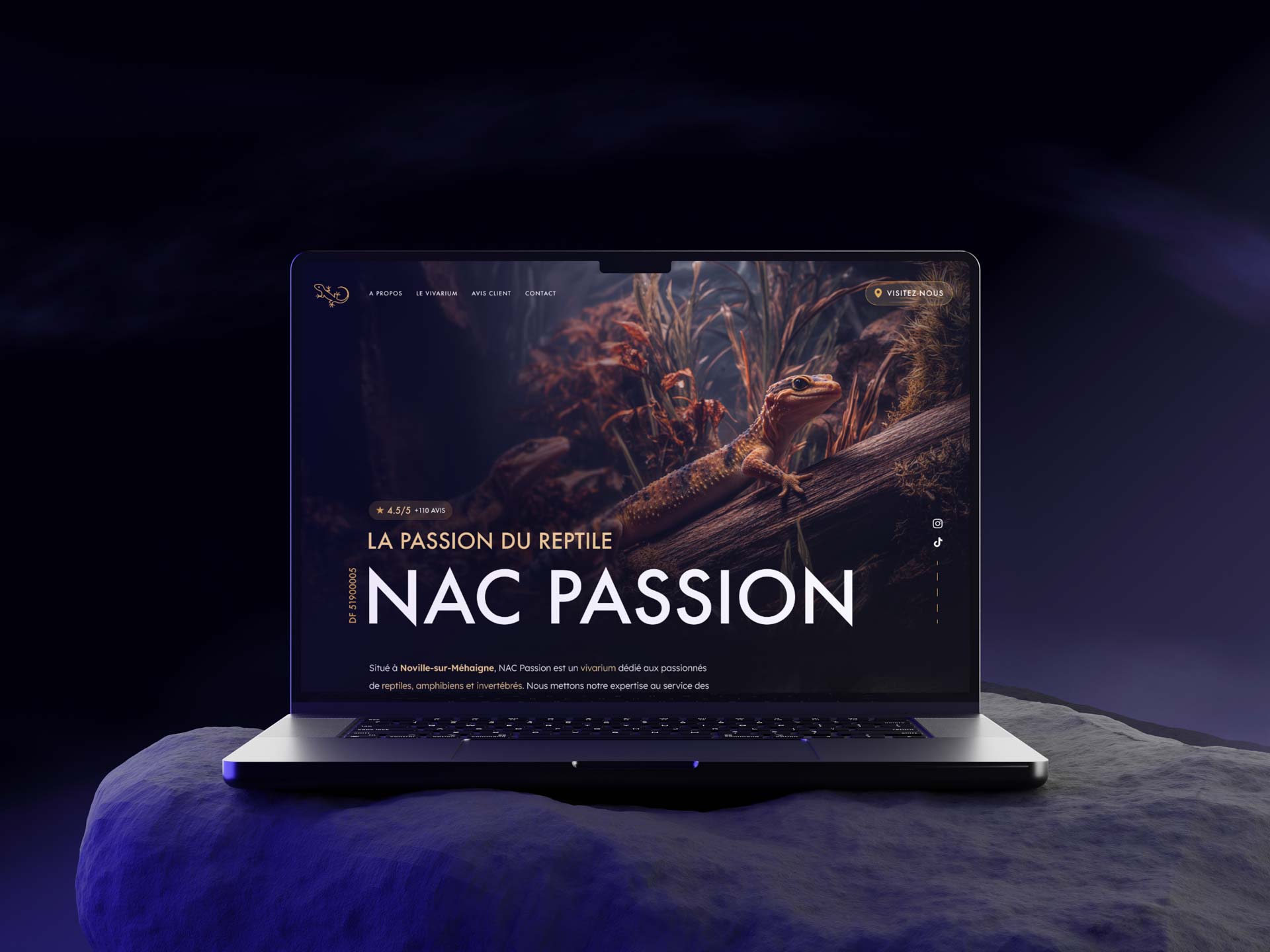 Site web NAC Passion